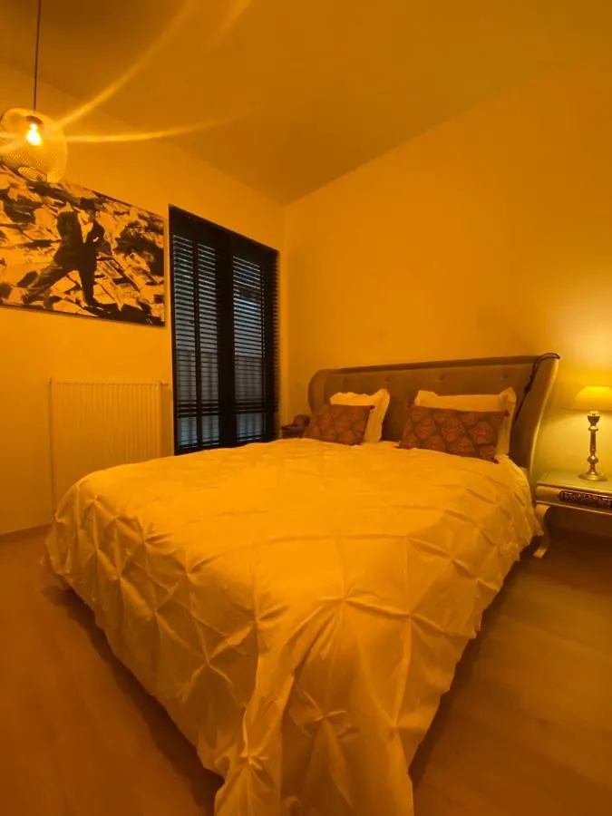 B&B Art And Sleep Antwerp Belgium